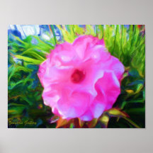 Wild Rose Print