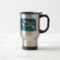 wild spotted dolphin mugs