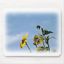 Wild Sunflowers Mouse Pad