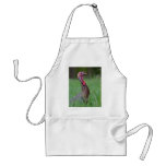 Wild Tom Aprons