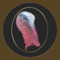 Wild Turkey Head stickers