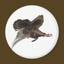 Wild Turkey Hunting magnets