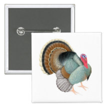 Wild Turkey Pin
