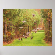Wild Turkey's In Flight Poster