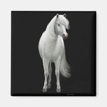 Wild White Horse Magnet