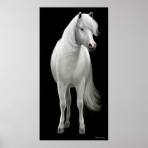 Wild White Horse Poster