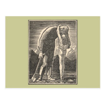 Wilderness Embrace Post Cards