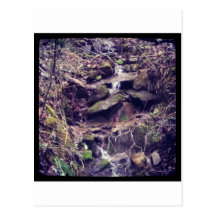 Wilderness Waterfall Postcards