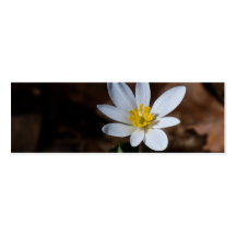 Wildflower Bookmark / Contact Card Business Card Template