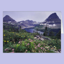 Wildflowers and Hidden Lake, Shrubby cards
