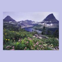 Wildflowers and Hidden Lake, Shrubby posters