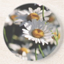 Wildflowers Coaster
