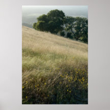 Wildflowers Print