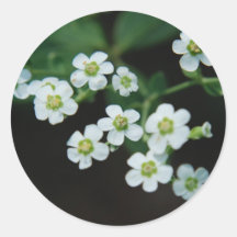 wildflowers stickers