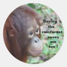 Wildlife Conservation:Orangutans and Rainforest Round Sticker