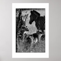 Wildlife in Africa I Print