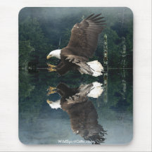 Wildlife Warriors - BALD EAGLE Mouse Pad