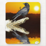 Wildlife Warriors - RAVENS Mousepads