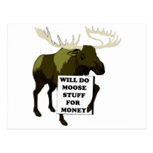 Will Do Moose Stuff For Money Post Cards