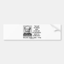 William James Art Of Being Wise Art To Overlook Bumper Sticker