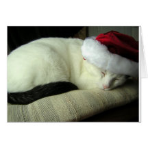 WiLSoN SOLSTiCE Greeting Card