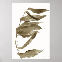 Wind, Posters