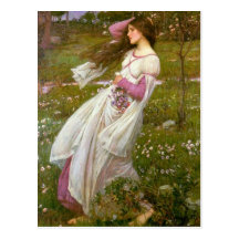Windflowers Postcard