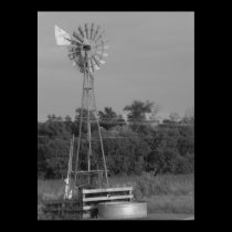 Windmill 3 Black and White Print posters