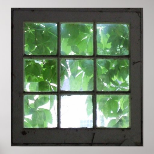 Window Poster