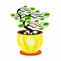 Windswept Bonsai Huge Pot Colour Photo Cutout