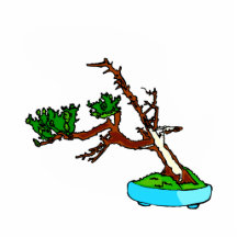 Windswept bonsai tree with deadwood graphic cut outs