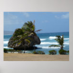 Windswept Print