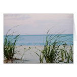Windswept  Shores Cards