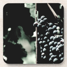 Wine Grapes Beverage Coasters