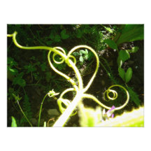 Wine Heart Photo Print
