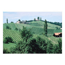 Wine route in Southern Syria, Austria at the Corni Personalized Announcement