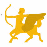 Winged Centaur Photo Sculpture