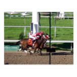 Winner By A Nose Postcard
