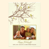 Winter Birds Family Holiday Card (green) invitations