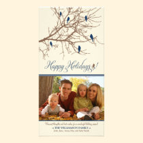 Winter Birds Happy Holidays Photo Card (blue) photo cards