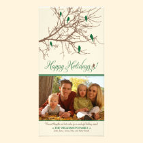 Winter Birds Happy Holidays Photo Card (green) photo cards