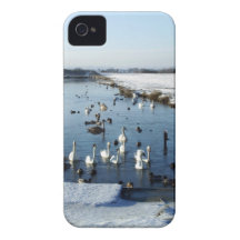 Winter boating lake scene with birds feeding. iPhone 4 covers