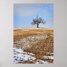 Winter Corn Field Poster