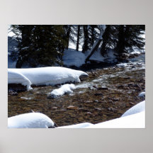 Winter creek print