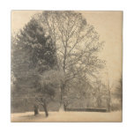 Winter Dawn Ceramic Tile