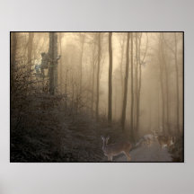 Winter Deer Scene Poster