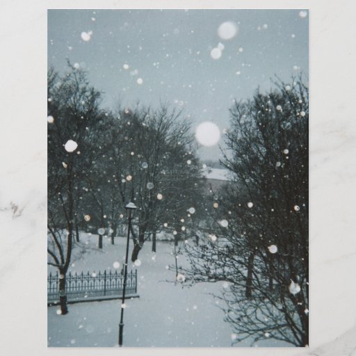 Winter Flakes Custom Flyer