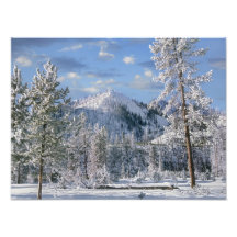 Winter in Yellowstone National Park, Wyoming Art Photo