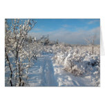 Winter Landscape Cards