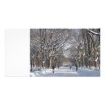 Winter Mall Central Park Personalized Photo Card
